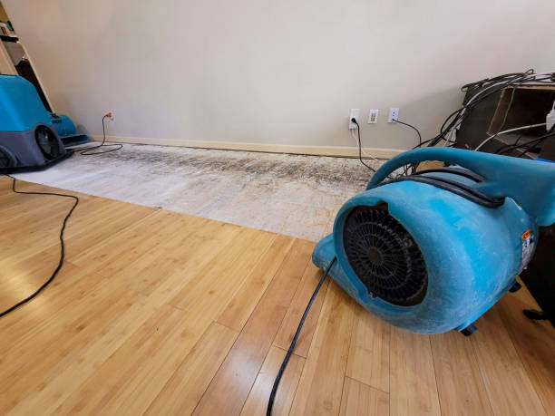 Professional Sewage Cleanup technician working in Sunrise Beach, MO